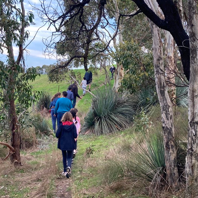 Children and parents on a bush walk